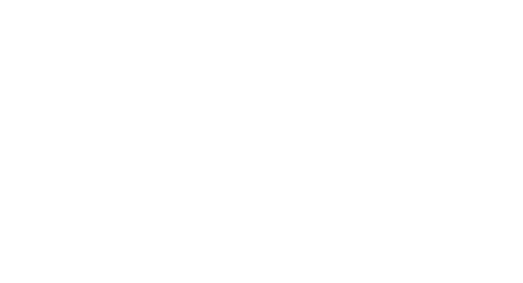 Ballet Vitória Ferreira