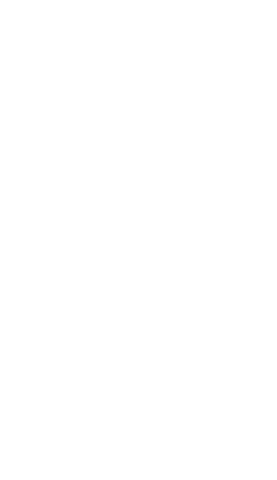 Ballet Vitória Ferreira